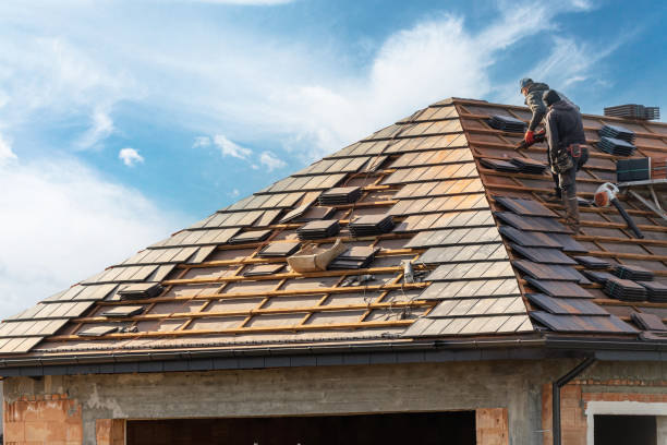 Best Skylight Installation and Repair  in Forestville, MD